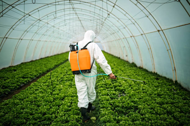 Best Residential Pest Control  in Sullivan, MO