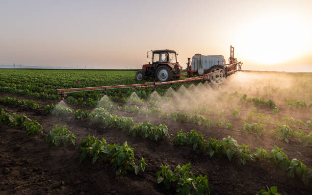 Best Ant Control Services  in Sullivan, MO