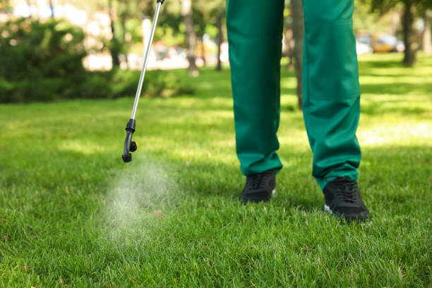 Reliable Sullivan, MO Pest Control Solutions