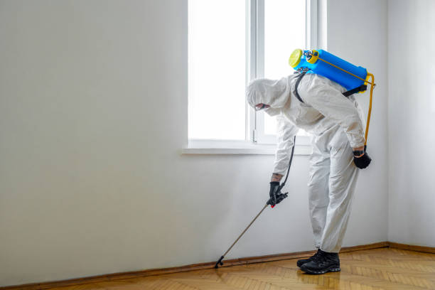 Best Best Pest Control Companies  in Sullivan, MO