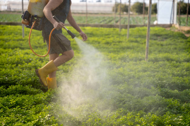 Best Best Pest Control Companies  in Sullivan, MO