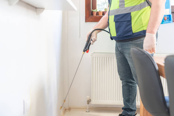 Flea Control Services in Sullivan, MO