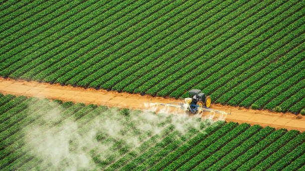 Best Ant Control Services  in Sullivan, MO