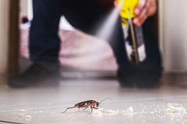 Best Pest Control Treatment  in Sullivan, MO