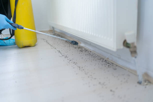 Pest Control Cost in Sullivan, MO