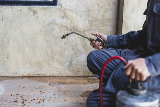 Best Pest Prevention Services  in Sullivan, MO