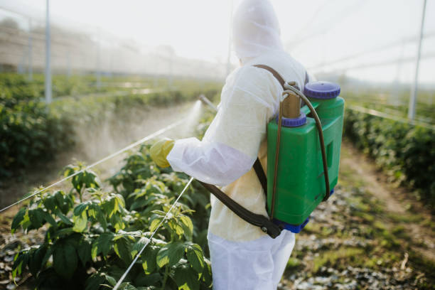 Best Best Pest Control Companies  in Sullivan, MO